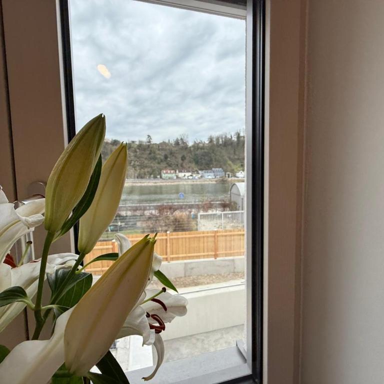Donau-Loft - Apartment mit 1 Schlafzimmer - 11
