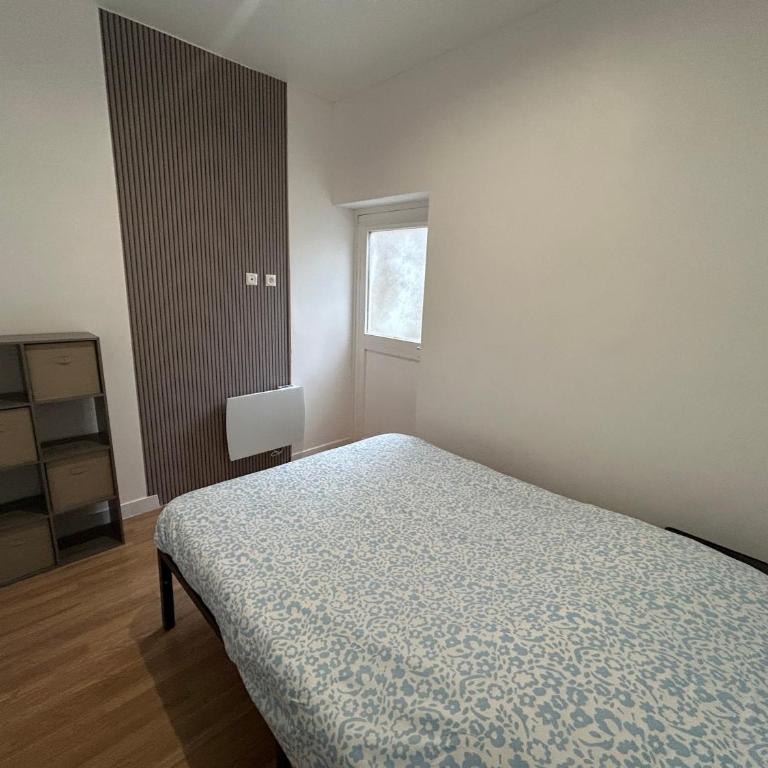 appartement ski,rando détente billard,piscine - Appartement 1 Chambre - 4
