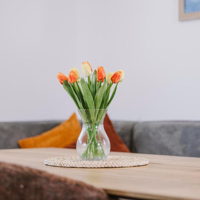 Apart Alois - Apartment mit 2 Schlafzimmern und Dusche - 14
