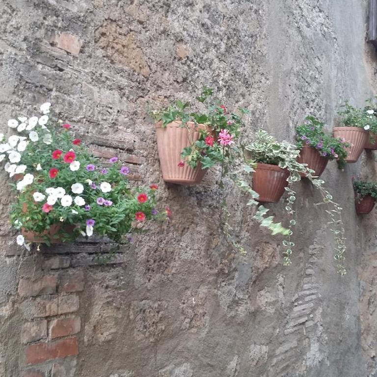 Appartamento Clementini - Appartamento - Piano Terra - 4