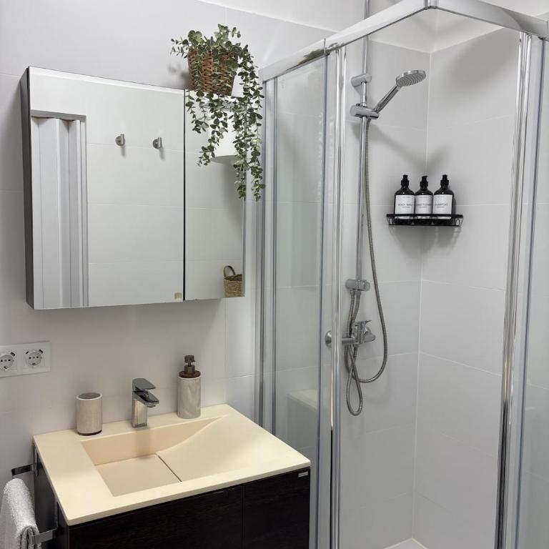 As Poldras Perfect location in Pontevedra - One-Bedroom Apartment - 7
