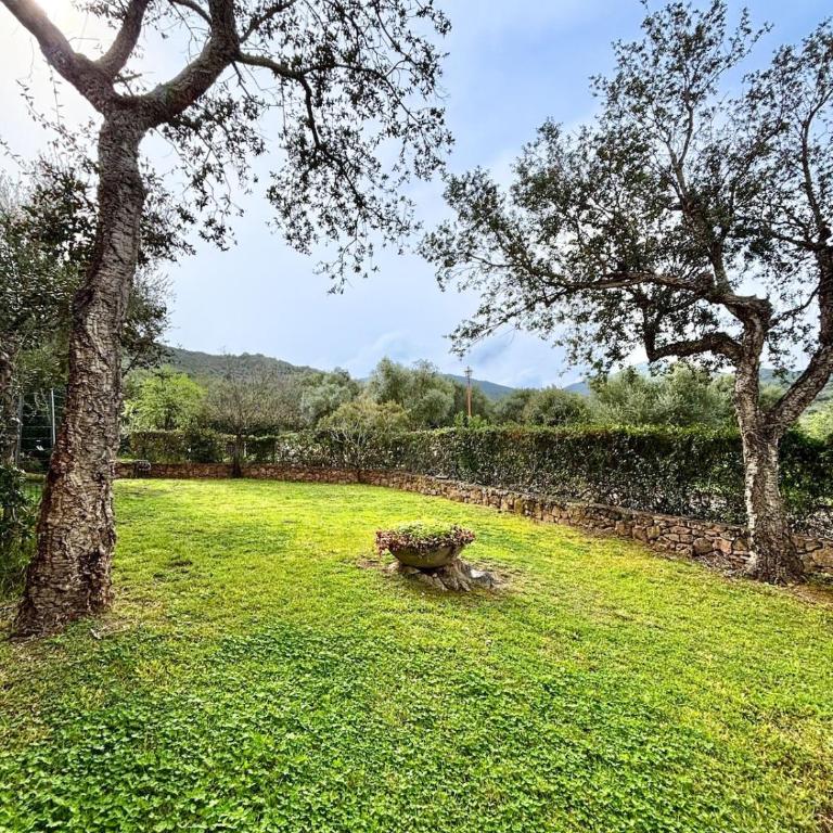 Miriacheddu 4 - Casa con 3 Camere da Letto - 18