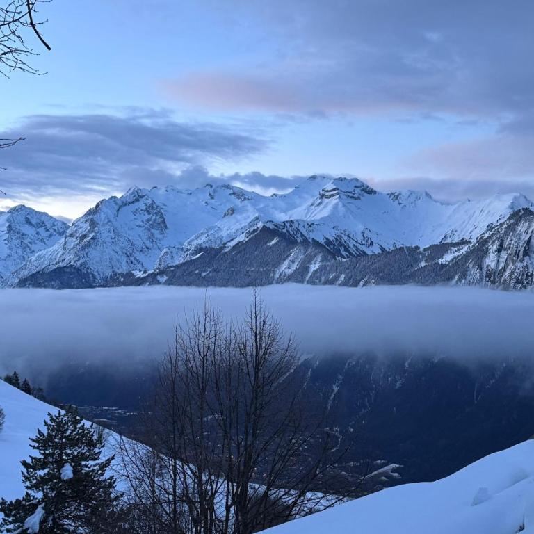 Les Racines Chalet - Chalet - 48