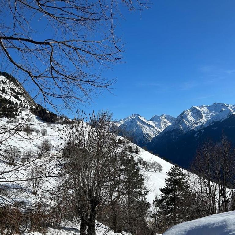 Les Racines Chalet - Chalet - 66