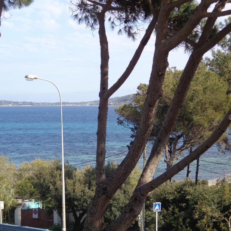 Villa Angelina Garden - Appartement - Rez-de-Chaussée - 12