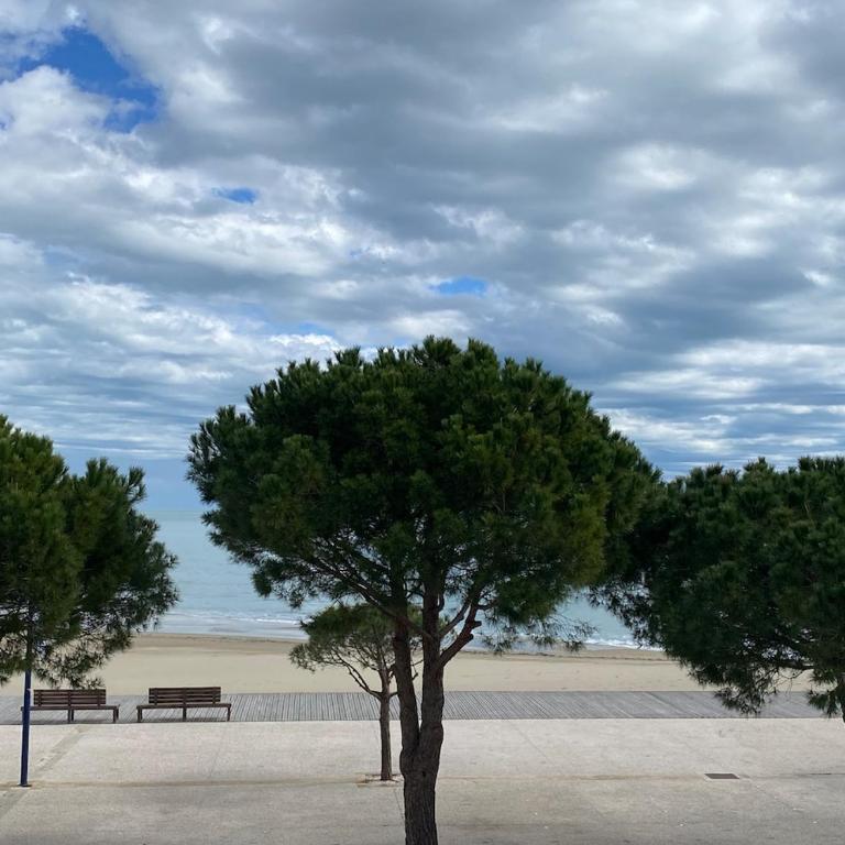 Leucate Apartment - Appartement 2 Chambres - 5