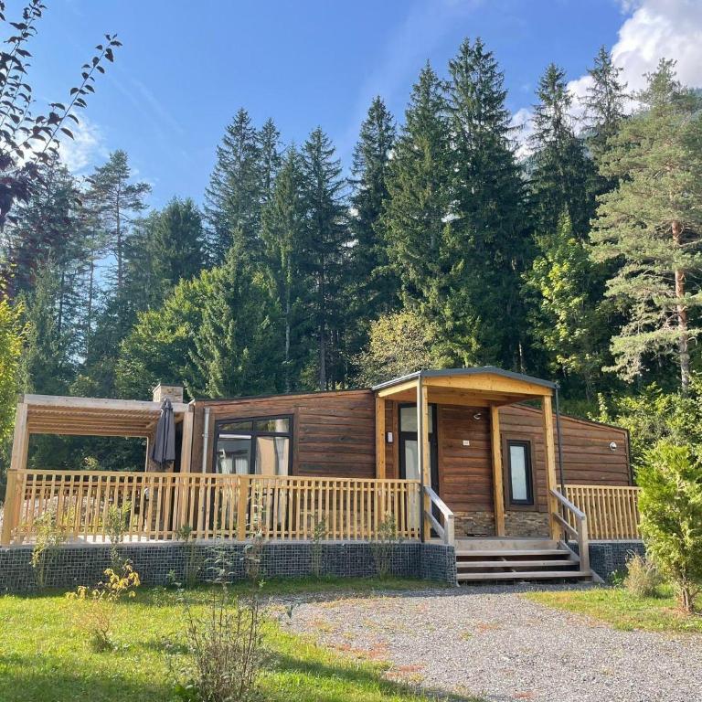 EuroParcs Pressegger See - Ferienhaus - 9