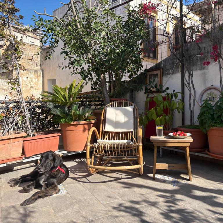 Casa Louisa - Rooftop City House - Appartamento con 3 Camere da Letto - 53