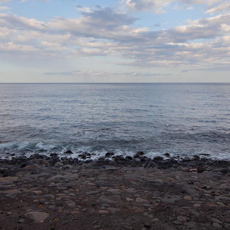 Citrus, between Etna and the Sea - Villa - 68
