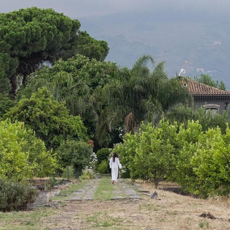 Citrus, between Etna and the Sea - Villa - 74