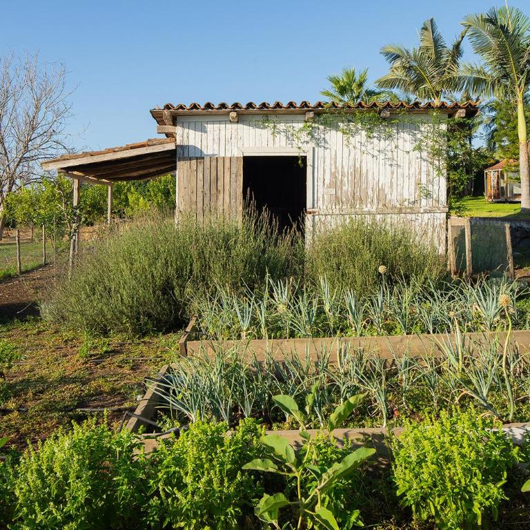 Citrus, between Etna and the Sea - Villa - 54