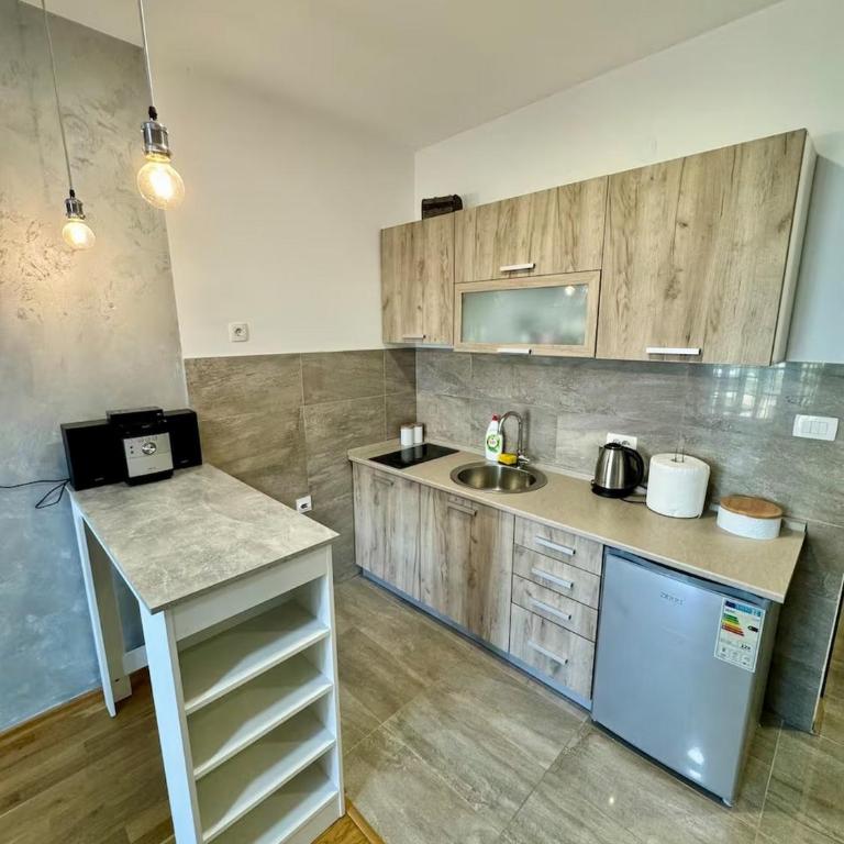 EnteroMNT Park e vist - Apartman sa 1 Spavaćom Sobom - 6