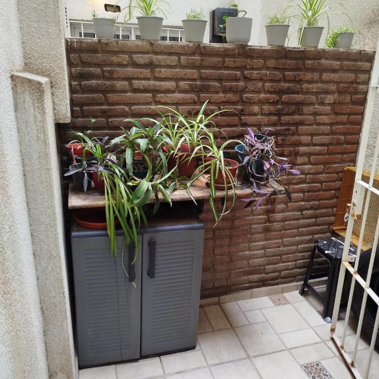 El Remanso - One-Bedroom Apartment - 13