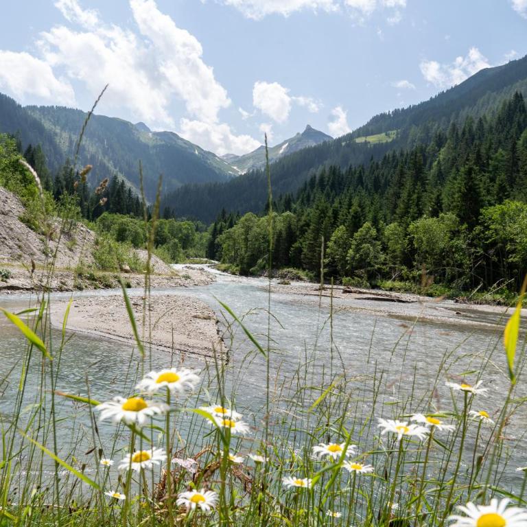 Hochalmbahnen Chalets 1-01, Alpenglocke, nahe Gondel, Hunde willkommen - Chalet mit 3 Schlafzimmern - 16