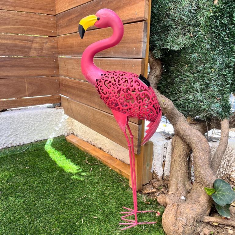 Sanary centre charmant studio 28m2 avec jardin parking privé - Apartment mit 1 Schlafzimmer - 29