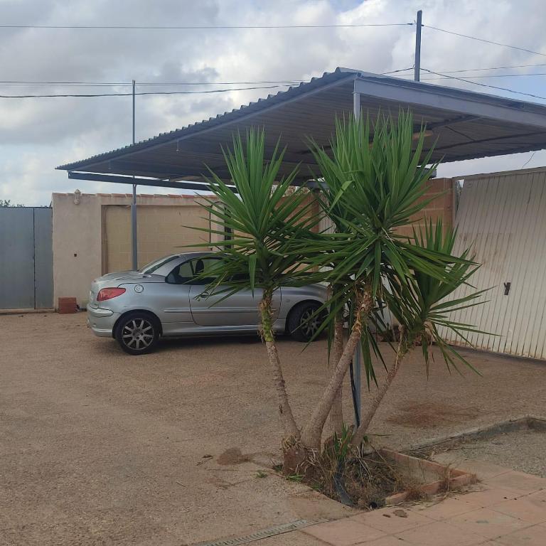 El Rincón del Olivo - Villa - 26