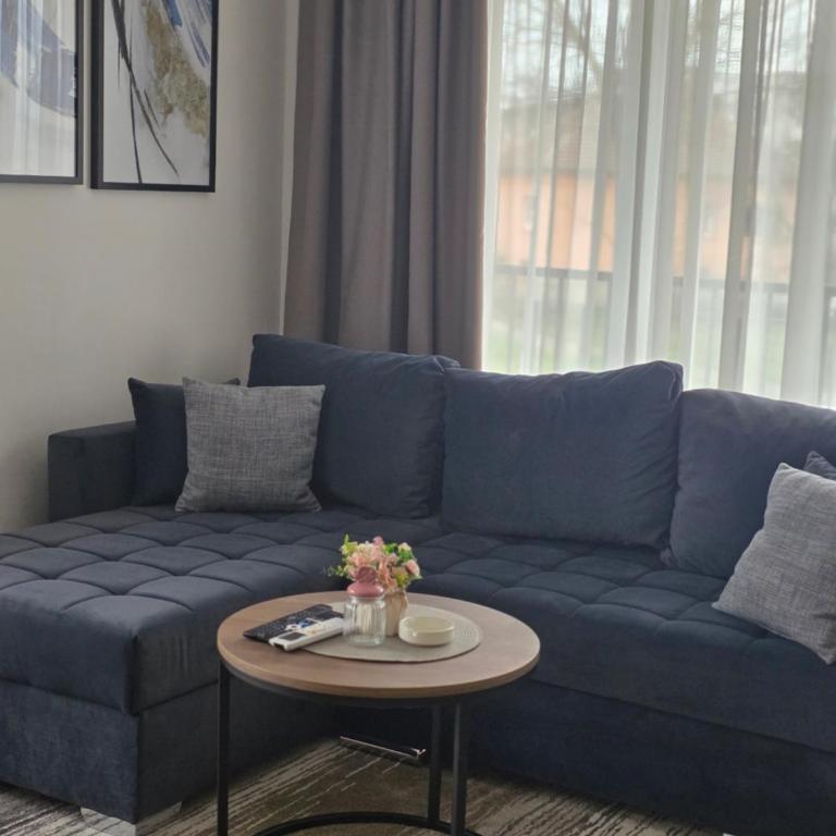 Vision apartmani Vrnjačka Banja - Apartman s 1 Spavaćom Sobom i Terasom - 19