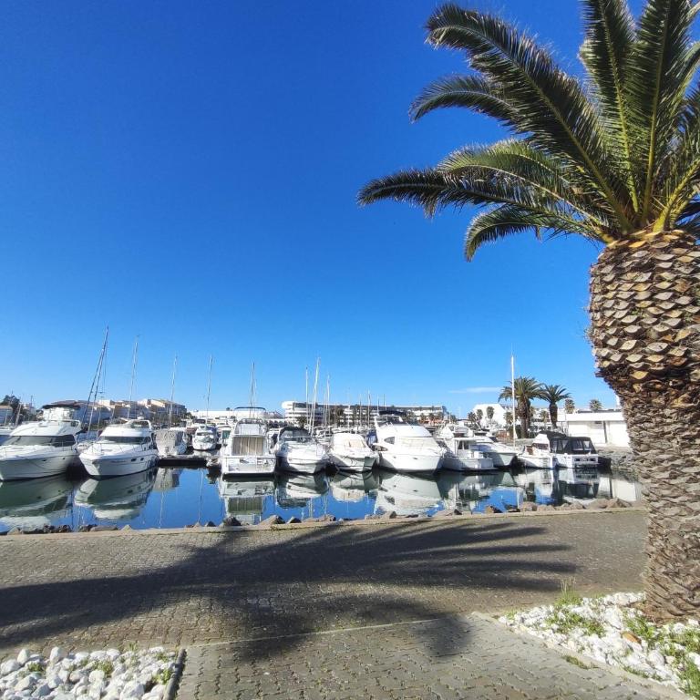 Studio 659, Port Nature 6 au village naturiste - One-Bedroom Apartment - 5