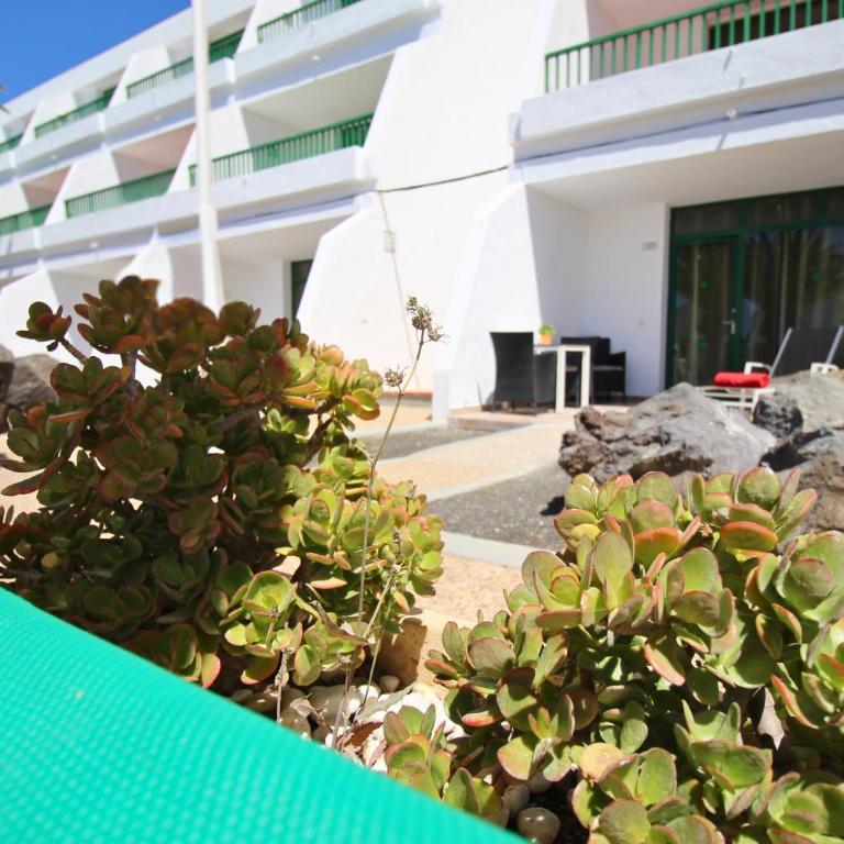 Apartamentos La Peñita - One-Bedroom Apartment with Pool View - 4