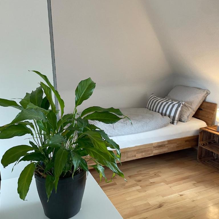 Giebelglück - 3 Zimmer, direkt an der UniKlinik, 2 Schlafzimmer, 4 Gäste, WLAN - Apartment mit 2 Schlafzimmern und Balkon - 4
