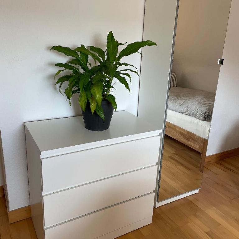 Giebelglück - 3 Zimmer, direkt an der UniKlinik, 2 Schlafzimmer, 4 Gäste, WLAN - Apartment mit 2 Schlafzimmern und Balkon - 16