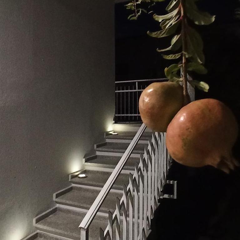 Le Dimore del Sole Tavolara apartment - Appartamento con 1 Camera da Letto - 11