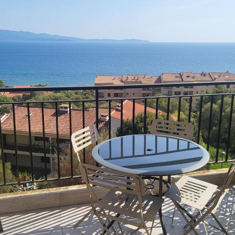 Appartement N1 F1 vue mer Route des Sanguinaires - Appartement 1 Chambre - 1