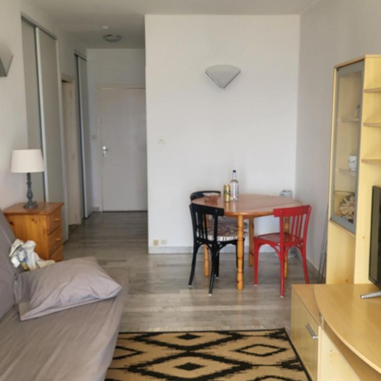 Appartement N1 F1 vue mer Route des Sanguinaires - Appartement 1 Chambre - 5
