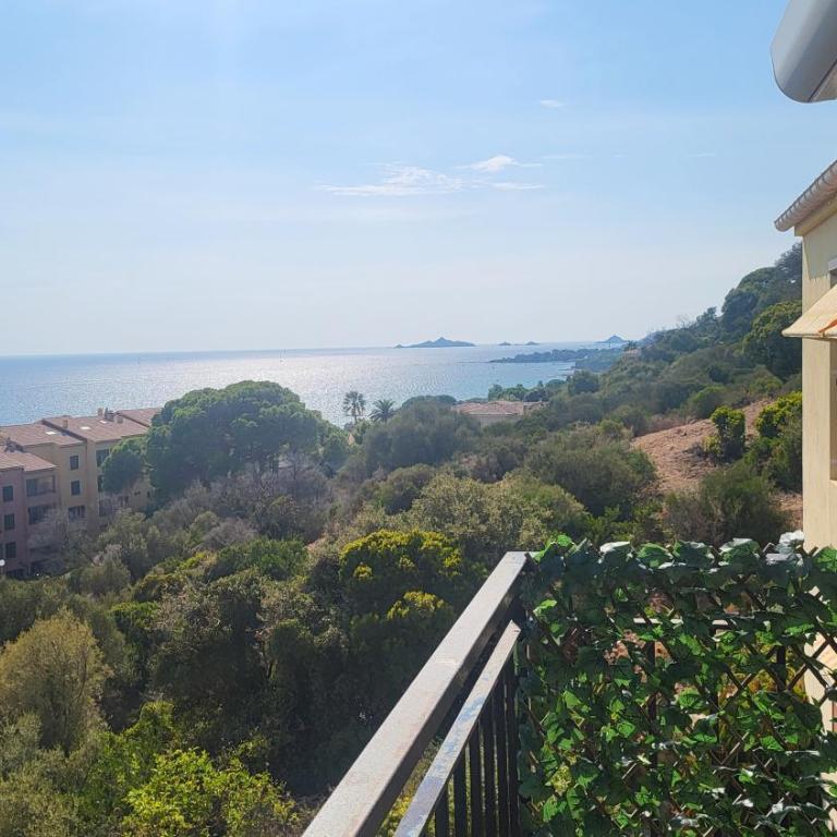 Appartement N1 F1 vue mer Route des Sanguinaires - Appartement 1 Chambre - 4