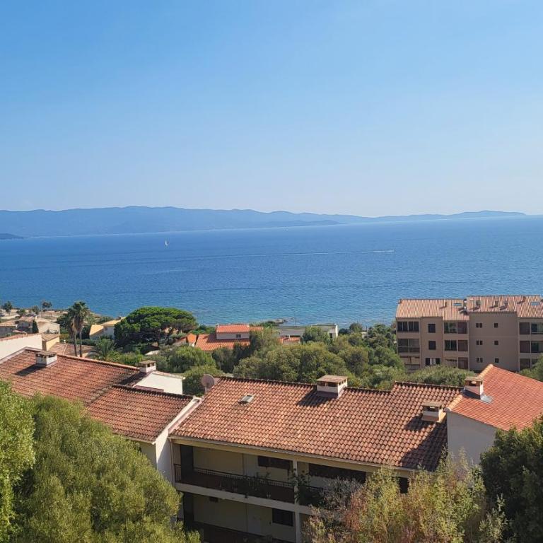 Appartement N1 F1 vue mer Route des Sanguinaires - Appartement 1 Chambre - 3
