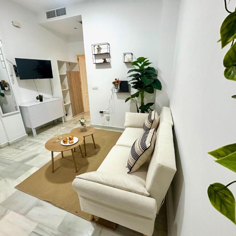 GATU CUKI centro - Apartamento de 1 dormitorio - 15