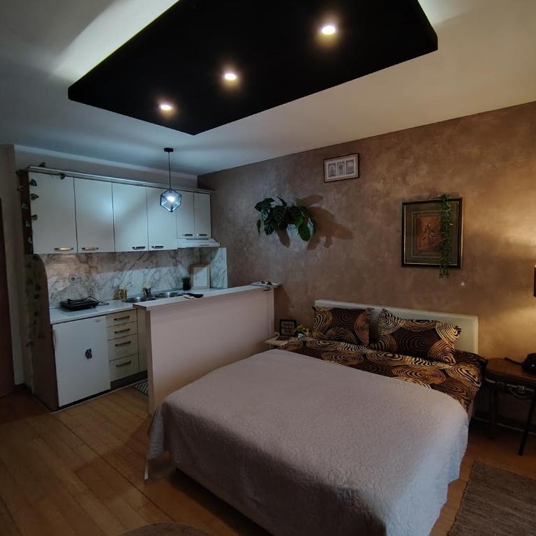 BG apartman - Apartman - 45