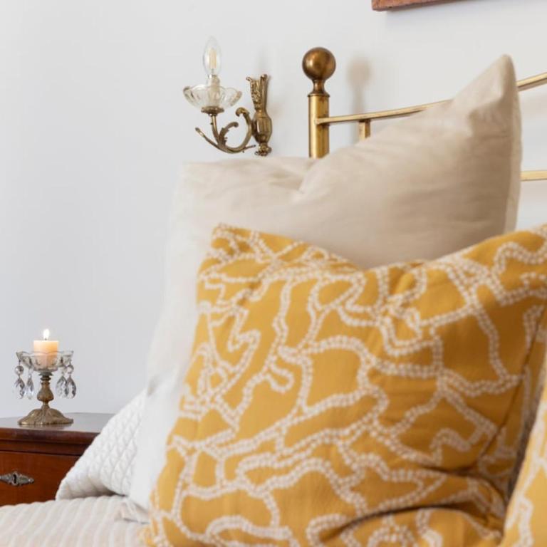 Elegant Historic Residence 50m Puccini Museum AC - Appartamento con 1 Camera da Letto - 40