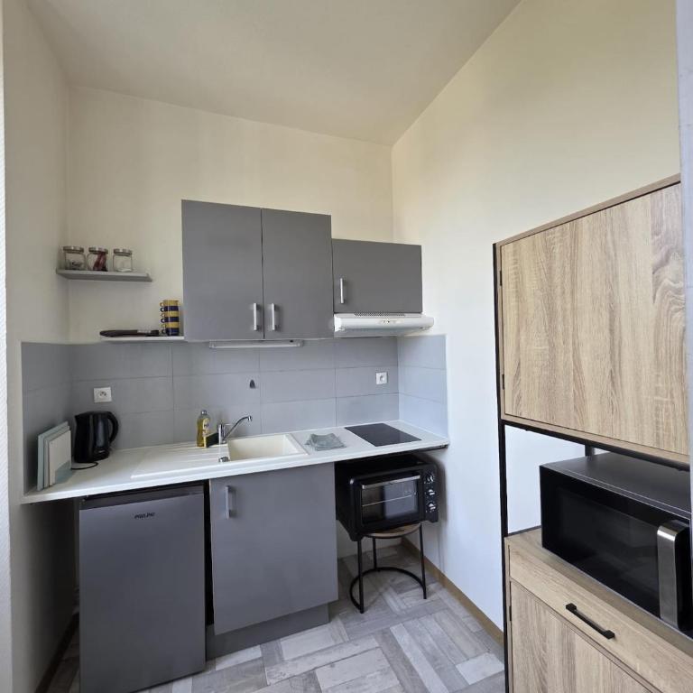 Cocon urbain avec jardin - appartement proche hôpital - Apartment mit 1 Schlafzimmer - 12