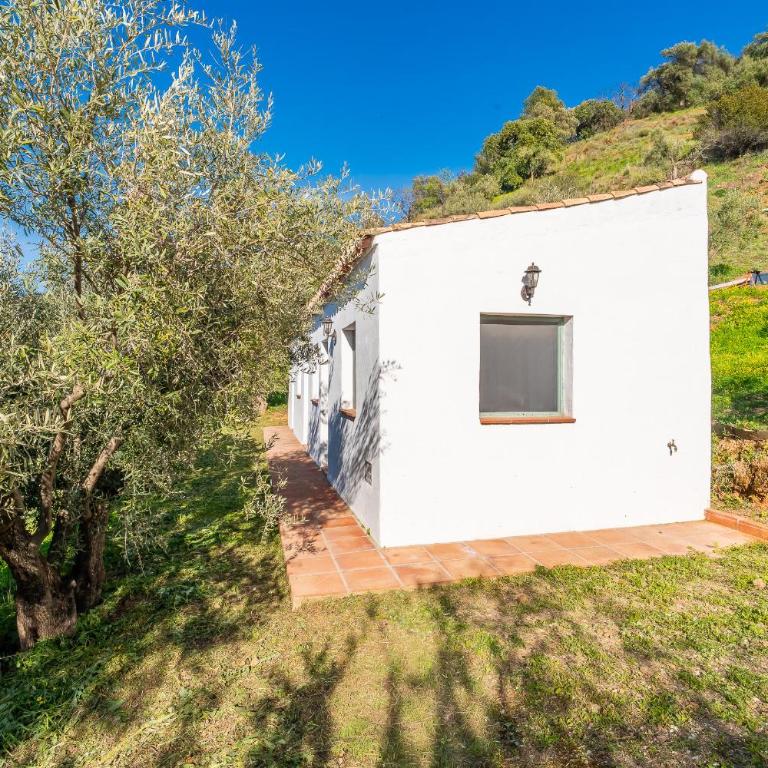 Cubo's Casa Los Pinos High Privacy Pool - Casa - 38