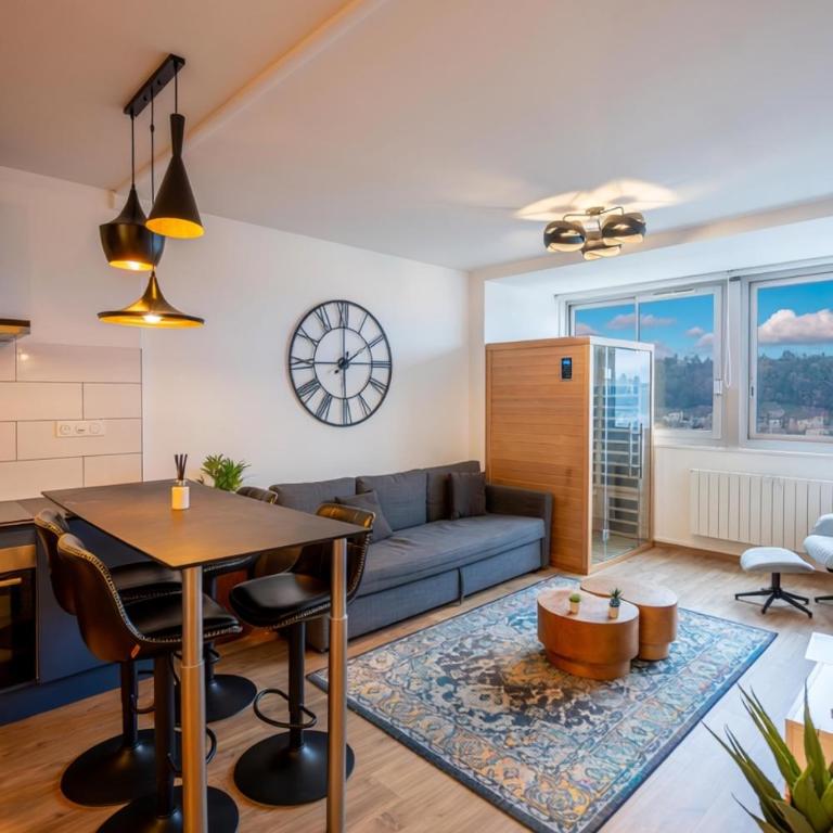 Plein centre-ville T2 avec sauna - Appartement 1 Chambre - 10