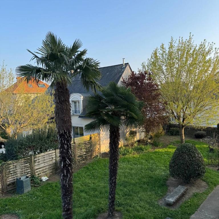 Cocon urbain avec jardin - appartement proche hôpital - Apartment mit 1 Schlafzimmer - 7