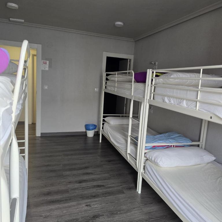Hostel Catedral Burgos - Cama Individual en dormitorio compartido de 6 camas - 6