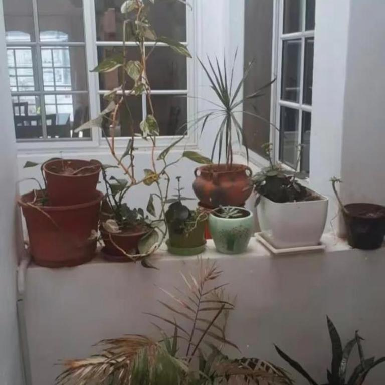 Centro - Apartamento de 1 dormitorio - 6