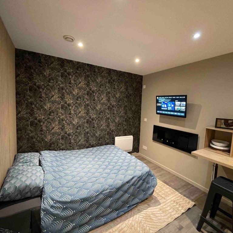 le cocon de l'empereur - Apartment mit 1 Schlafzimmer - 11
