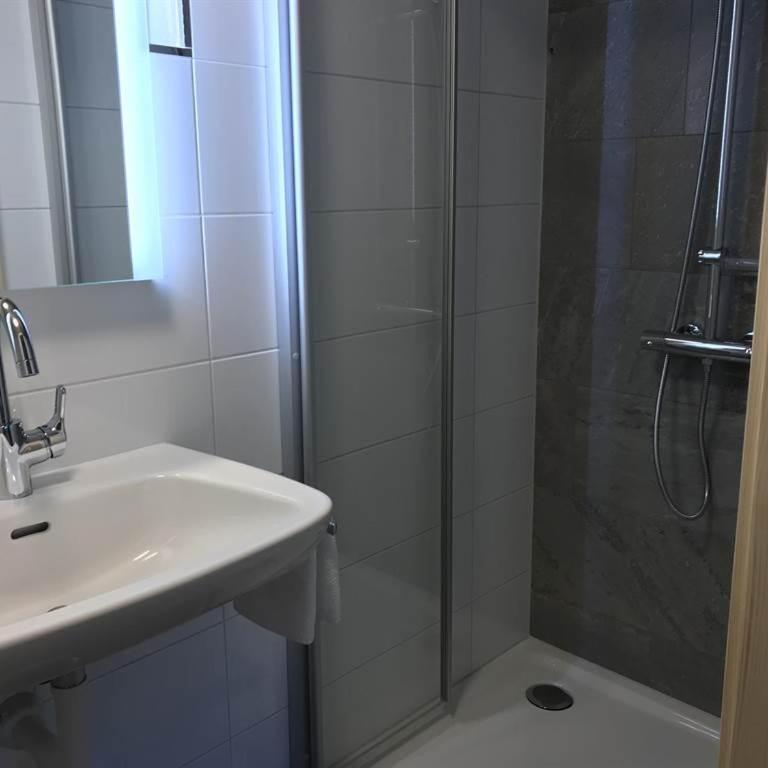 Landhaus Grüt - Appartamento con 1 Camera da letto con doccia - 8