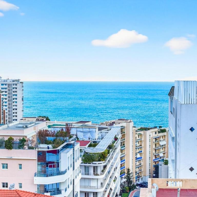 Penthouse with parking in Monte Carlo - Appartement 2 Chambres - 41