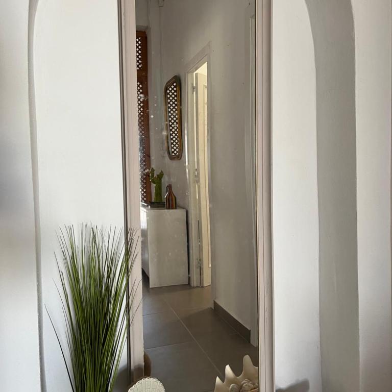 Apartamento Casa Rosa - Apartamento de 3 dormitorios - 17