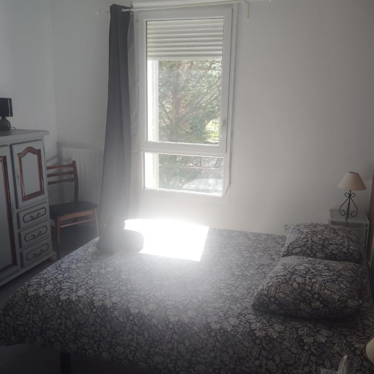 Magnifiques T2 calme ensoleillée - Apartamento de 1 dormitorio - 5
