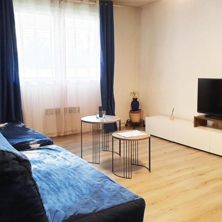 Paisible et Spacieux Appartement au calme proche métro limitrophe de Lyon - One-Bedroom Apartment - 19