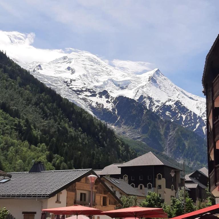 Spacious T2 in the heart of Chamonix - Appartement - 14