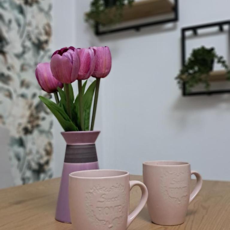 Apartman sa garažom i internetom - One-Bedroom Apartment - 7