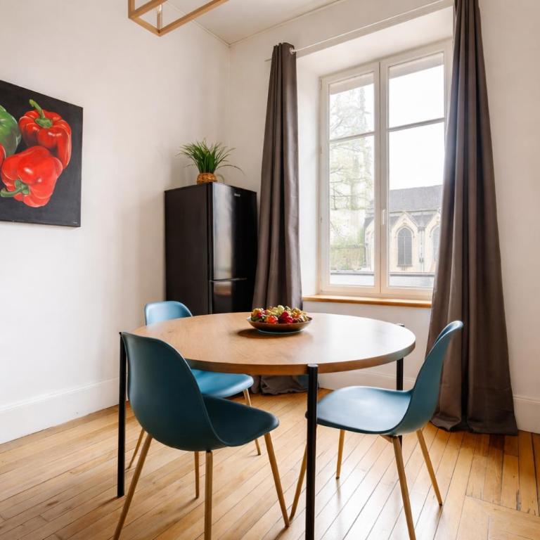 Nancy Gare Centre Parking - Appartement 1 Chambre - 7
