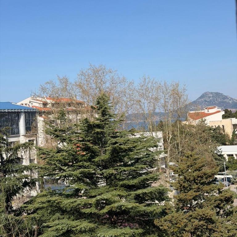 Anja apartment_City Center_ - Deluxe Studio - 14