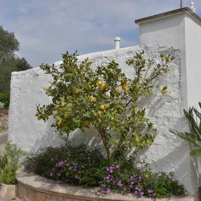 trullo amico - Casa con 4 camere da letto - 22